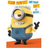 Minion Birthday Card With Assemble Your  Own 3D Minion