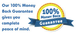 The Minion Shop Satisfaction Guarantee